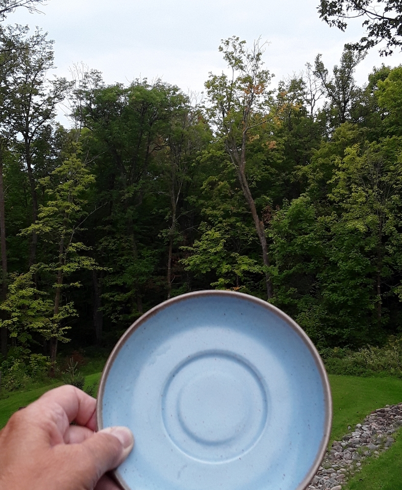 ⚜ Vintage Metlox Poppytrail Robins Egg  Blue Saucer